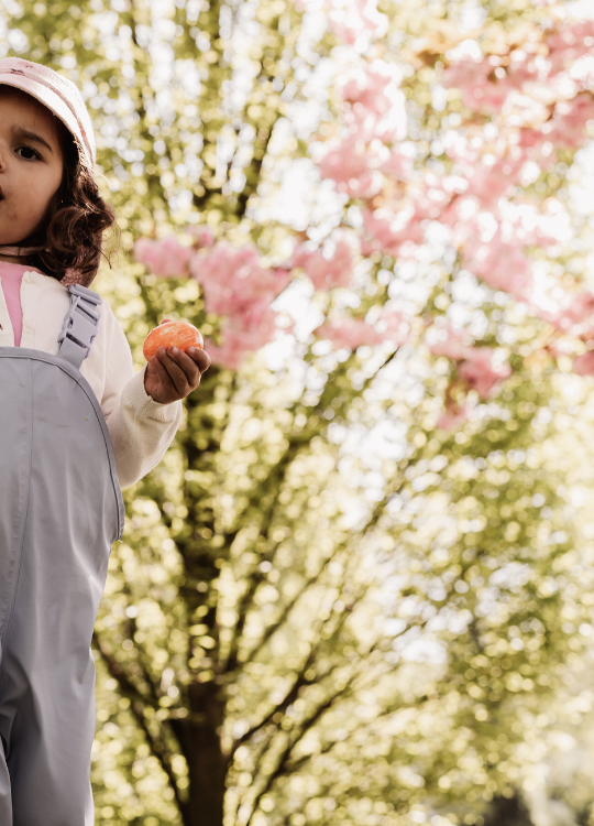 Kleinkind unter Kirschblütenbaum mit Osterei in der Hand