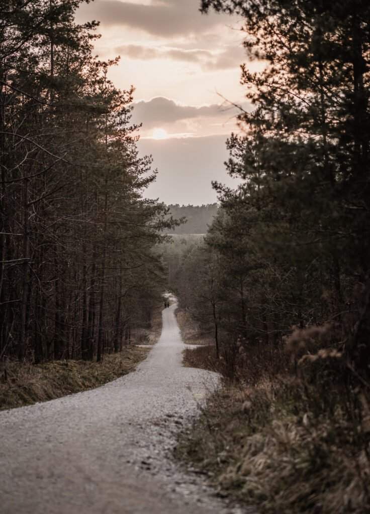 Der Weg zur Sanddüne Wolfsgrube