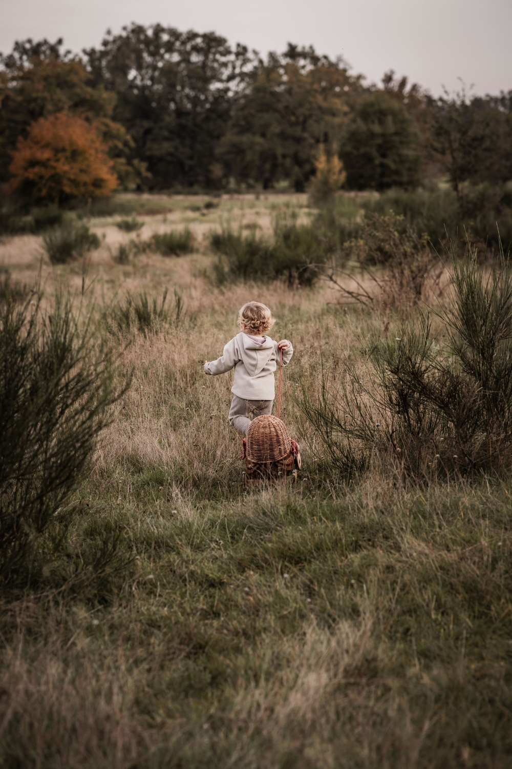 Kleines Mädchen läuft im Hainberg über Wiesen mit einem kleinen Puppenwagen