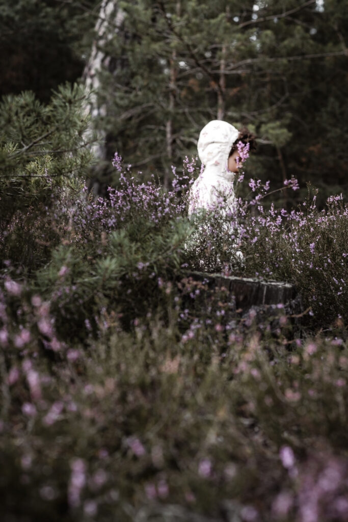 Kleines Mädchen läuft durch blühende Heide am fränkischen Dünenweg