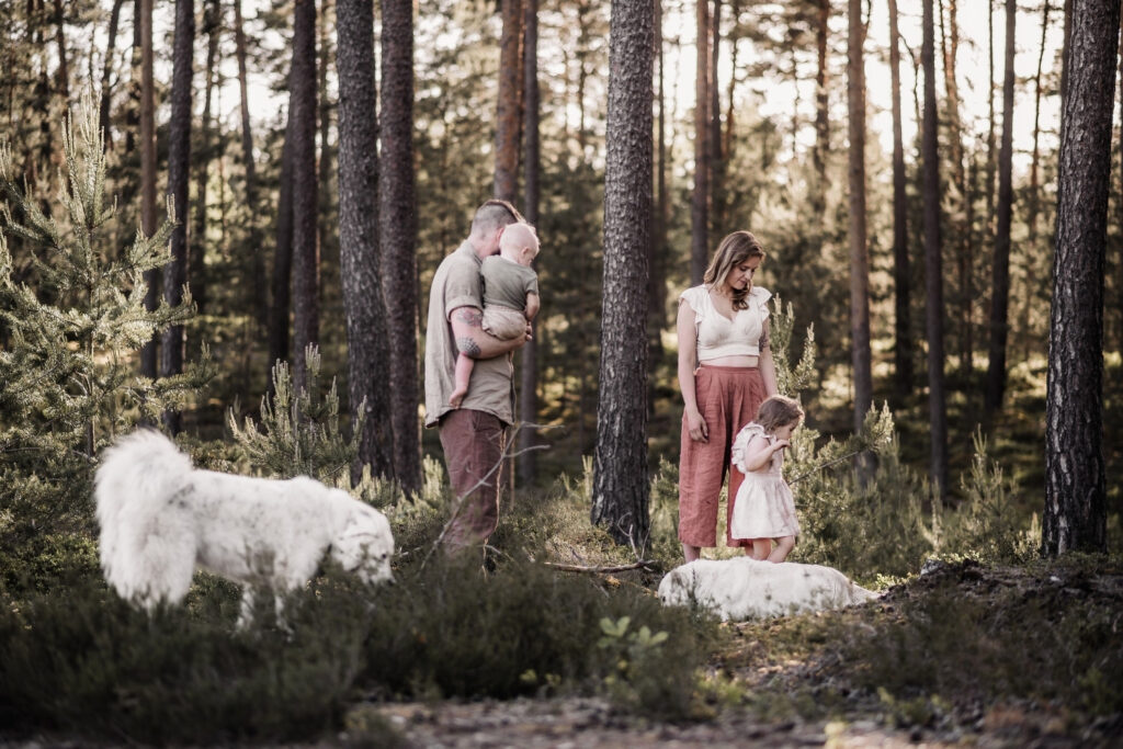 Familie mit 2 Kindern und 2 Hunden am fränkischen Dünenweg beim Familienshooting. Sie gehen in den Kiefernwald und schauen sich ein bisschen um